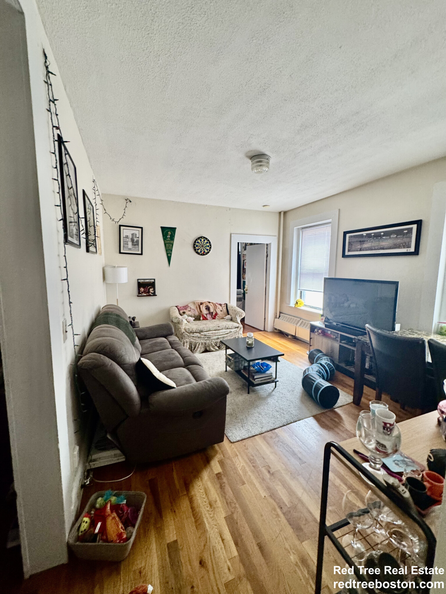 5 Glen Rd, Jamaica Plain