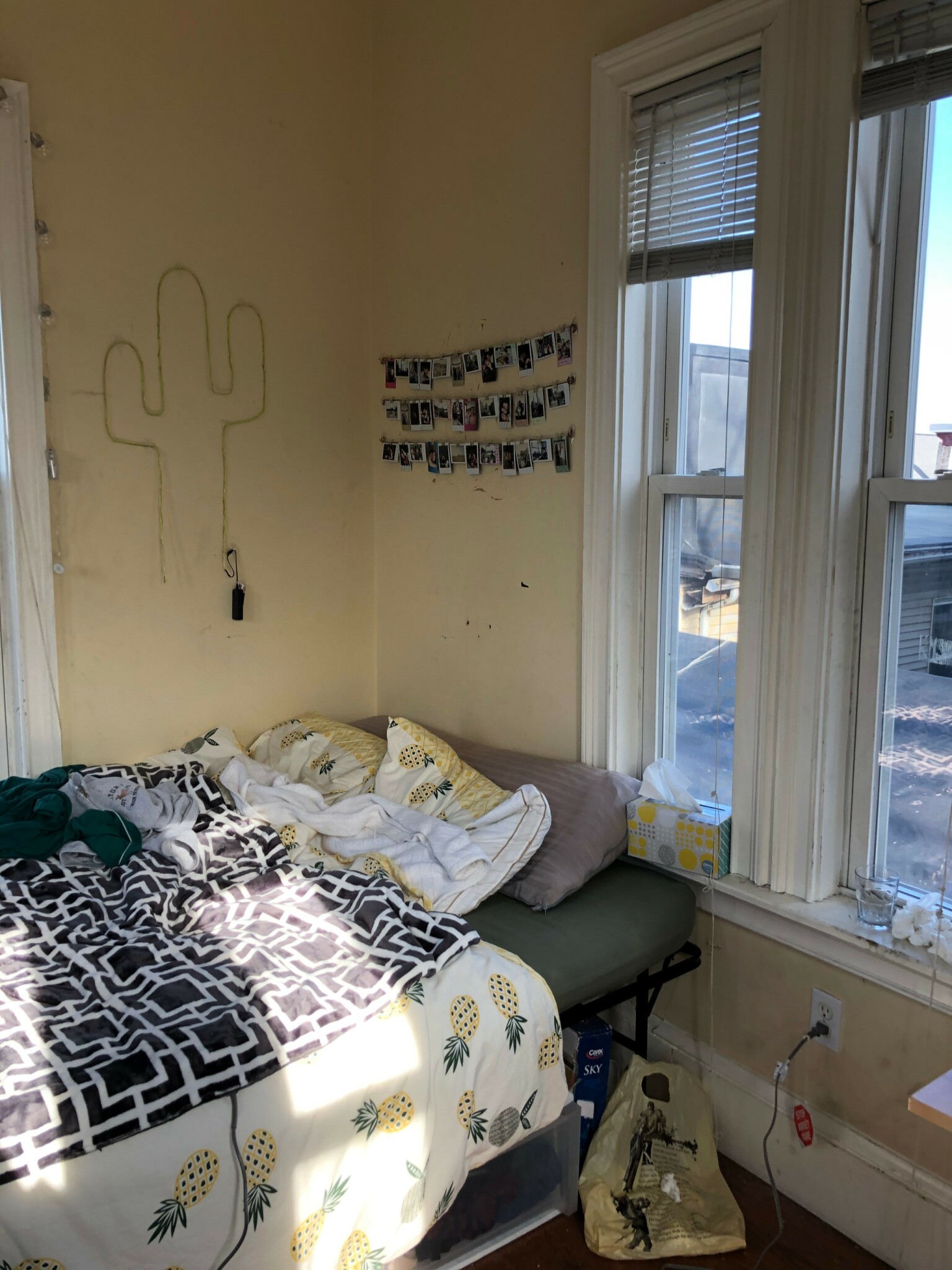 135 Hillside St, Mission Hill