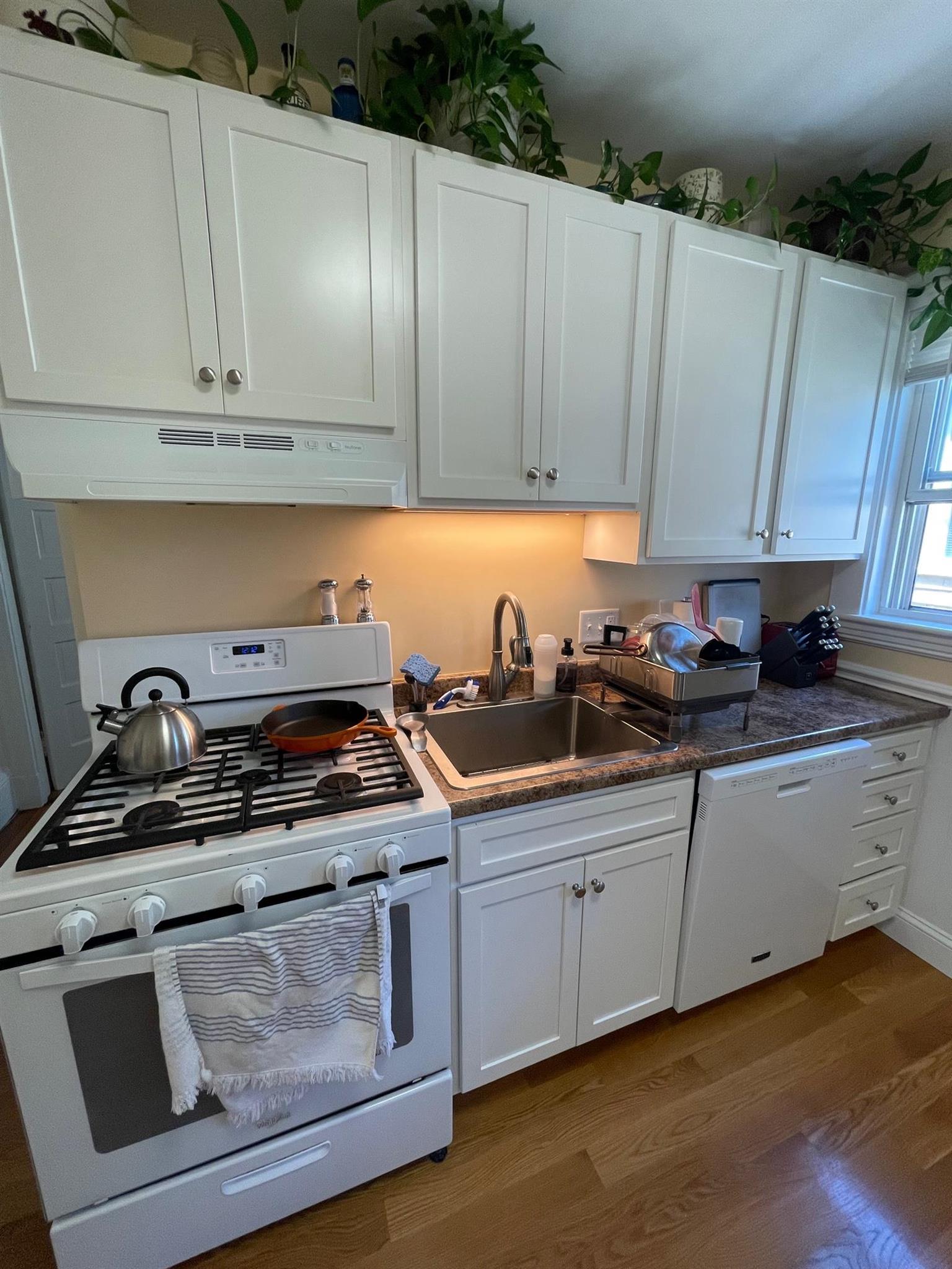 2 bed, 1 bath apartment for rent at 11 Belmont St Unit 3, Prospect Hill — photo 3 of 16