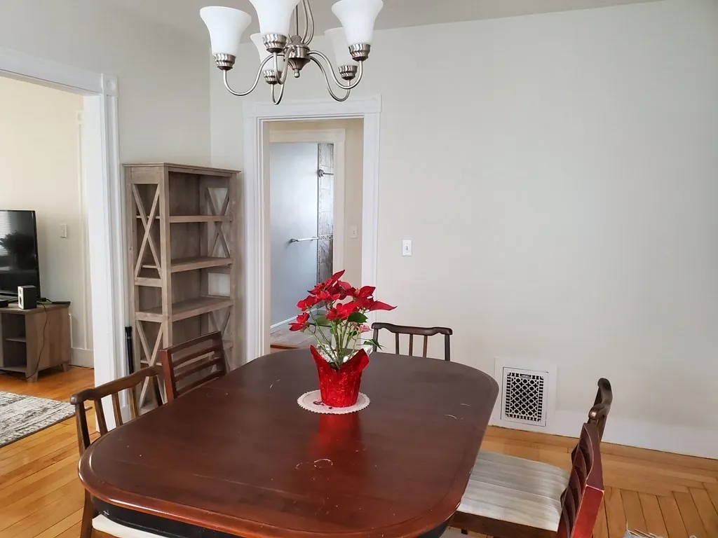 58 Creeley Rd, Waverley