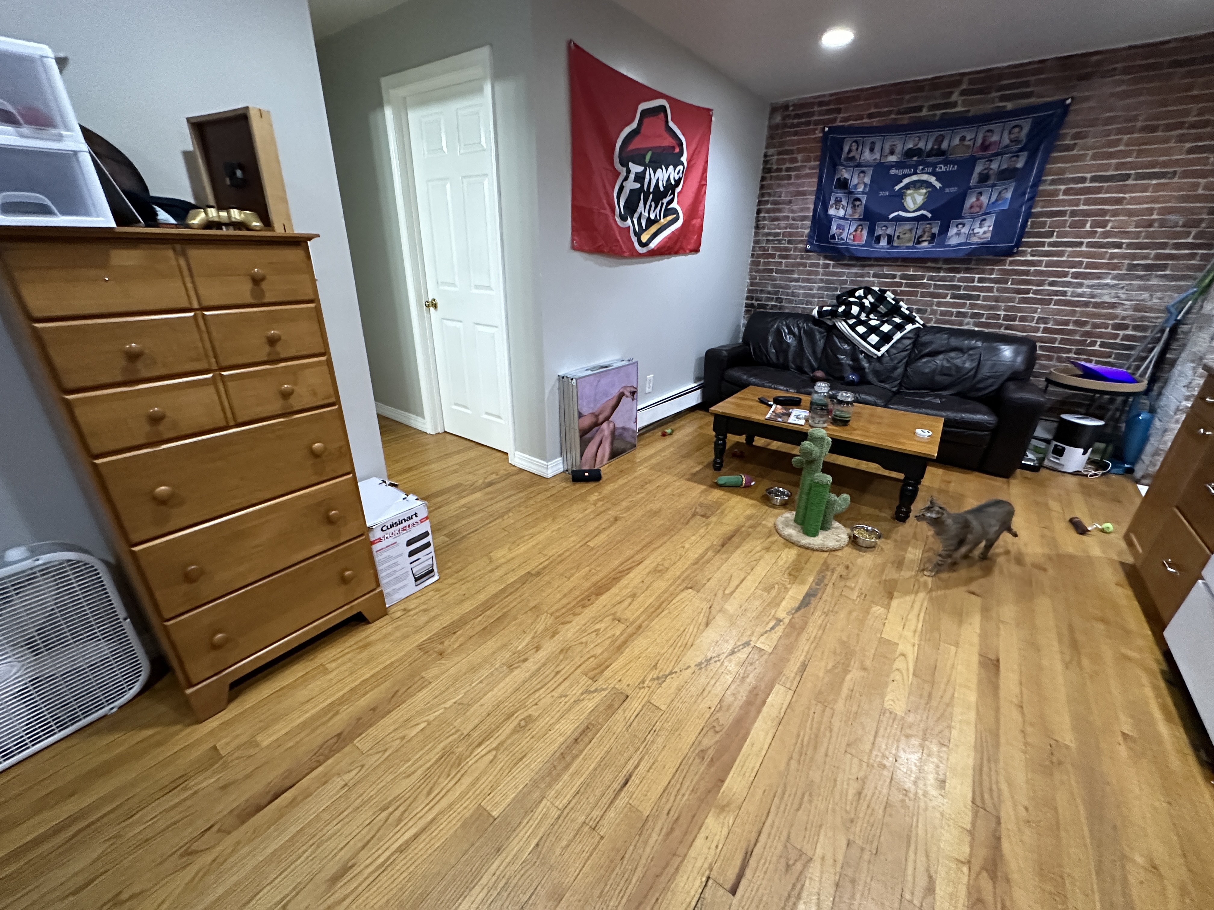 41 Anderson St, Beacon Hill