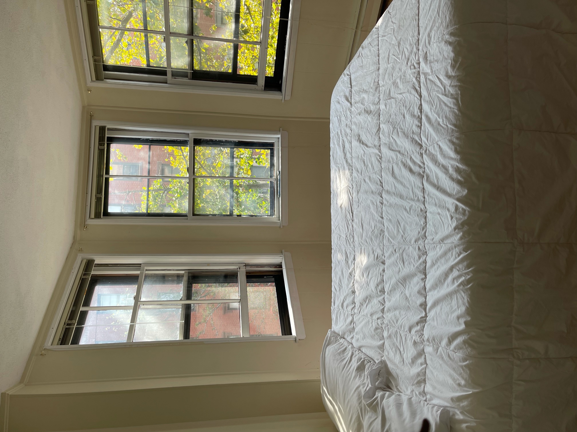 2 bed, 1 bath apartment for rent at 305 Shawmut Ave Unit 3, South End — photo 12 of 16