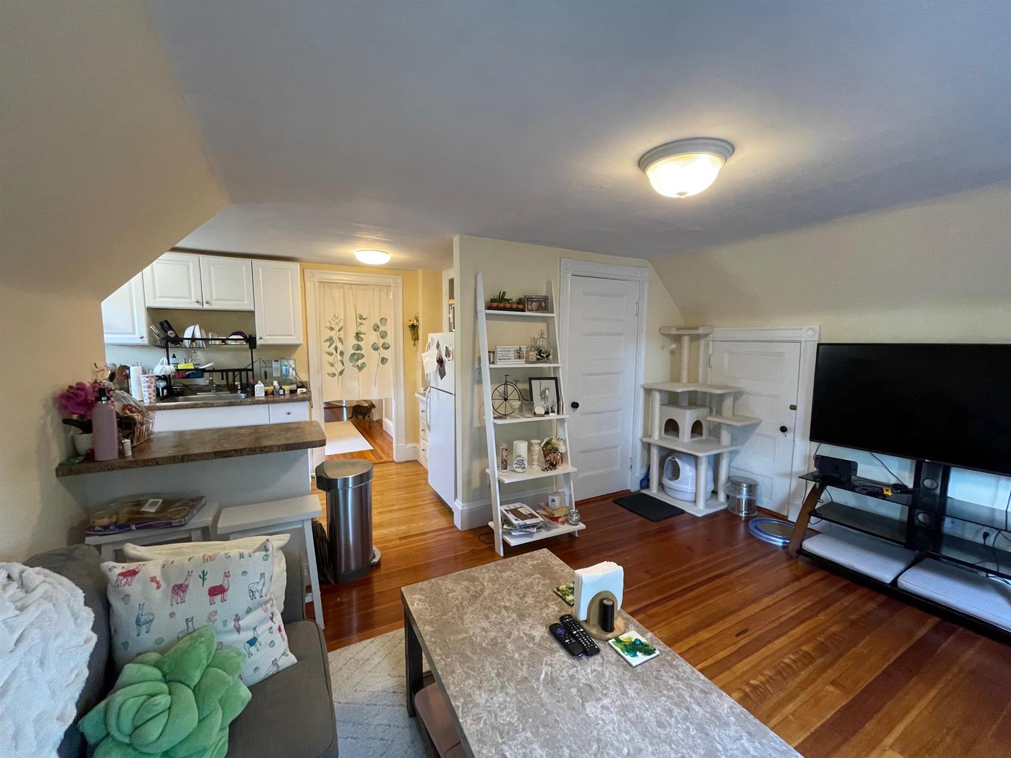 2 bed, 1 bath apartment for rent at 32 Pearson Rd Unit 3, Ball Square — photo 4 of 15