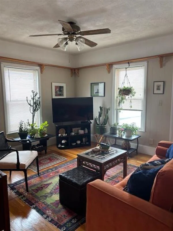 14 Virginia St, Winter Hill