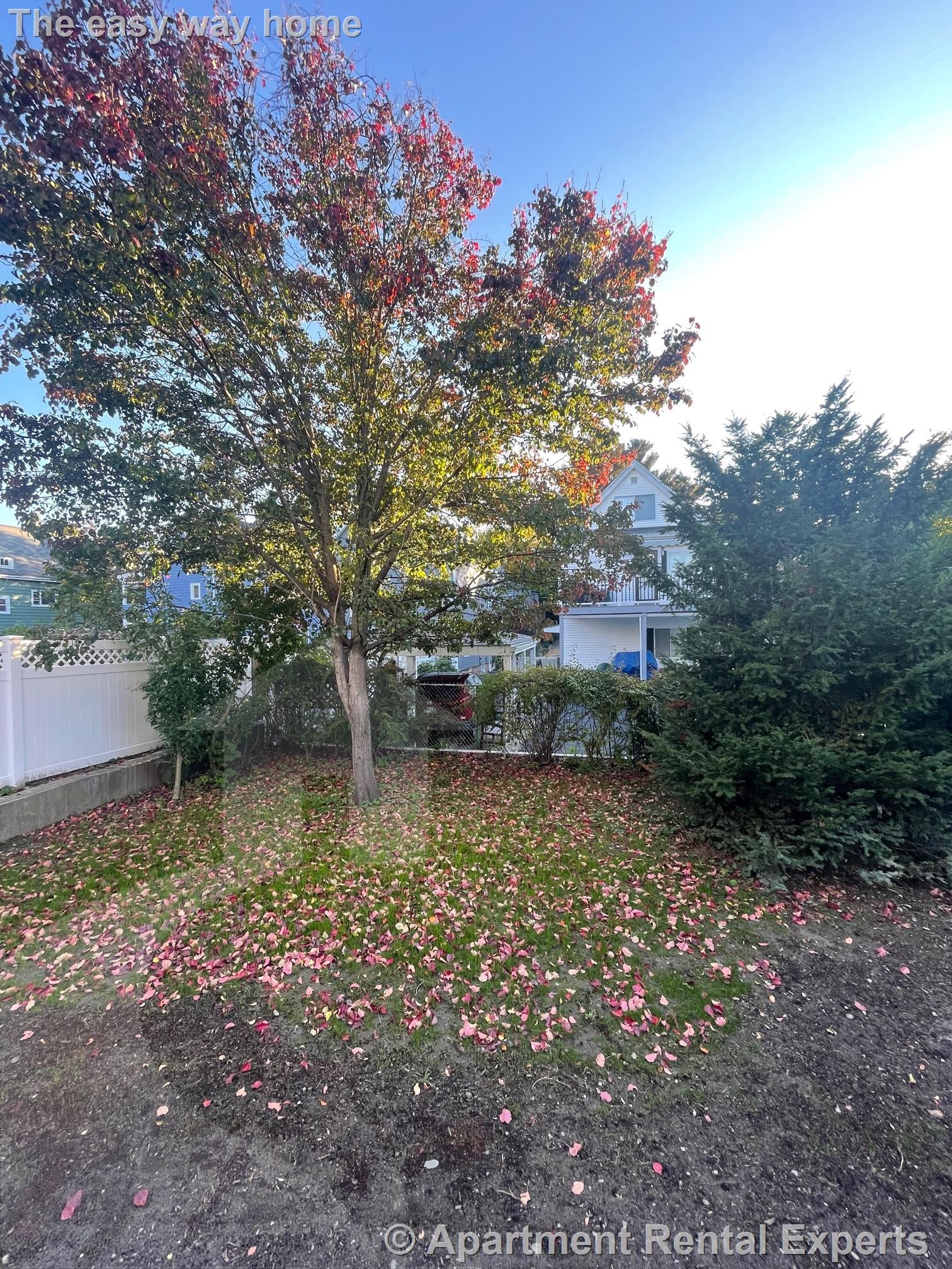 29 Alpine St, Davis Square