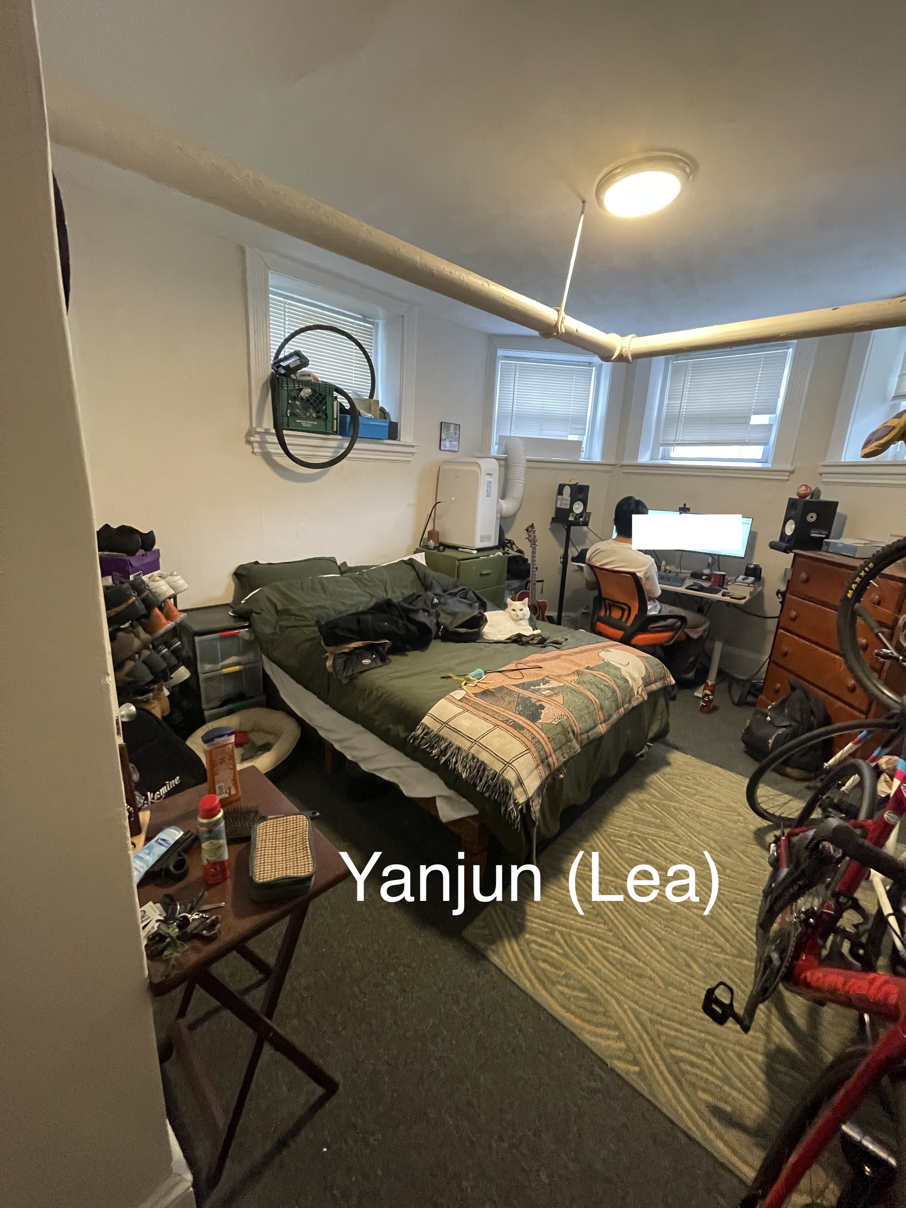 48 Brighton Ave, Brighton