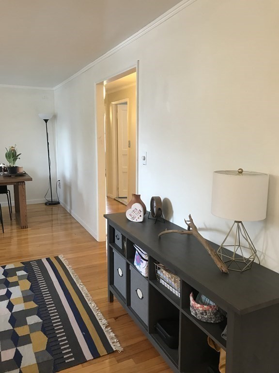 53 Elinor Rd, Newton Highlands