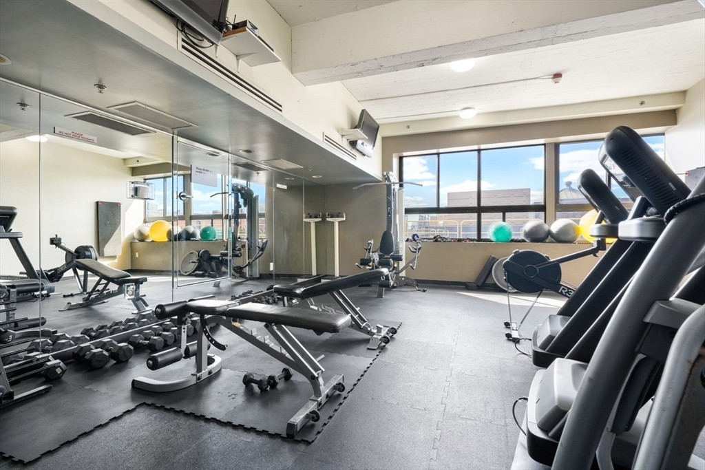 12 Stoneholm St, Fenway