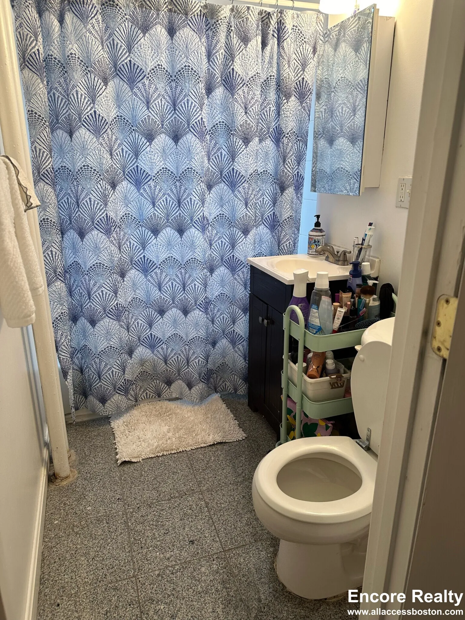 110 Brainerd Rd, Allston