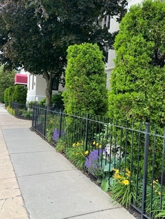 1 bed, 1 bath apartment for rent at 31 Brainerd Rd Unit 502, Allston — photo 5 of 8