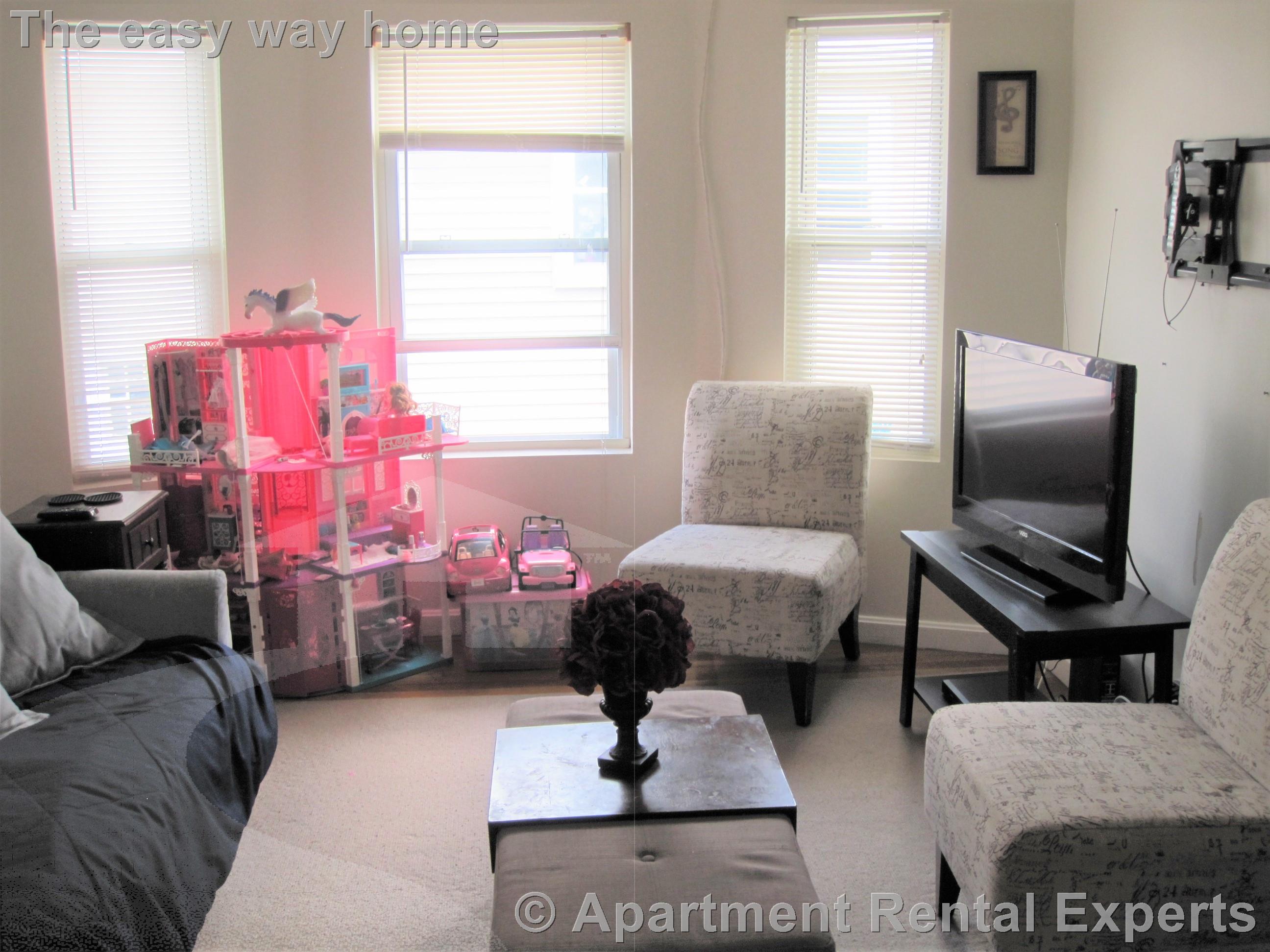 59 Windsor Rd, Tufts