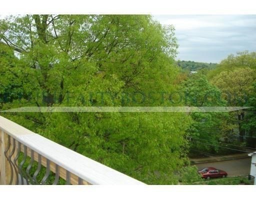 195 Forest, Arlington