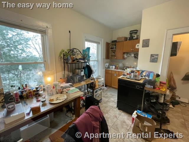 77 Bonair St, Winter Hill