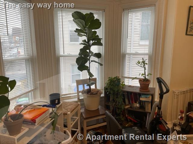 77 Bonair St, Winter Hill