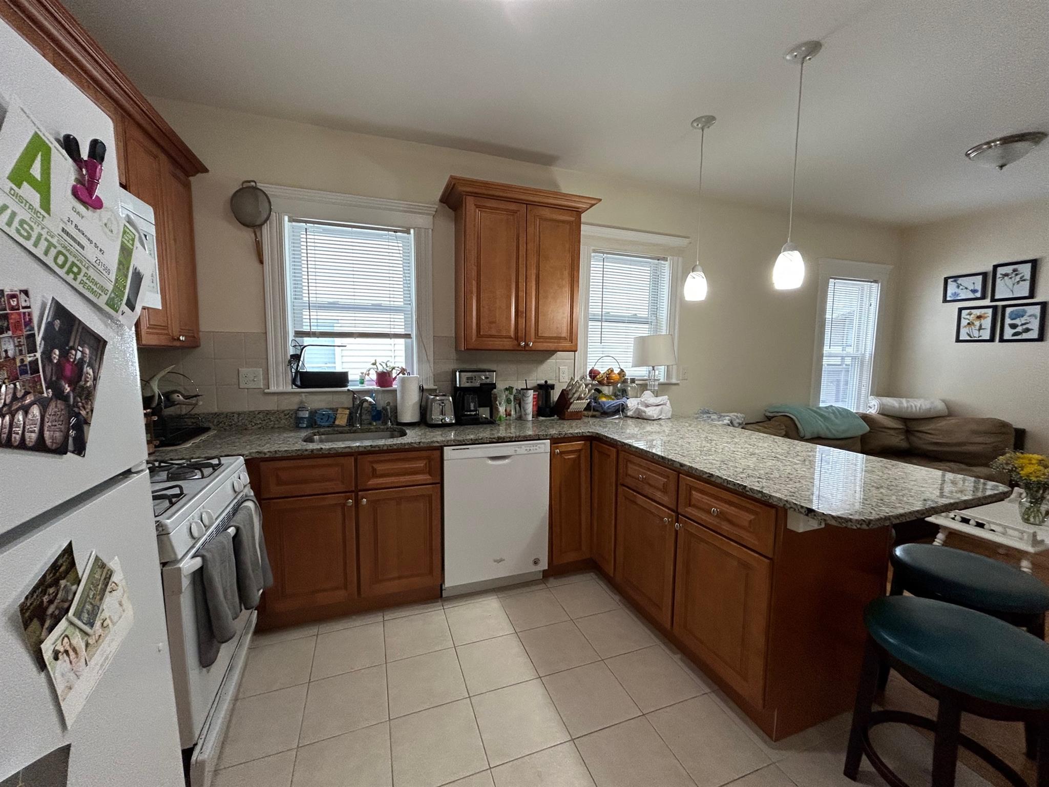 31 Belknap St, West Somerville