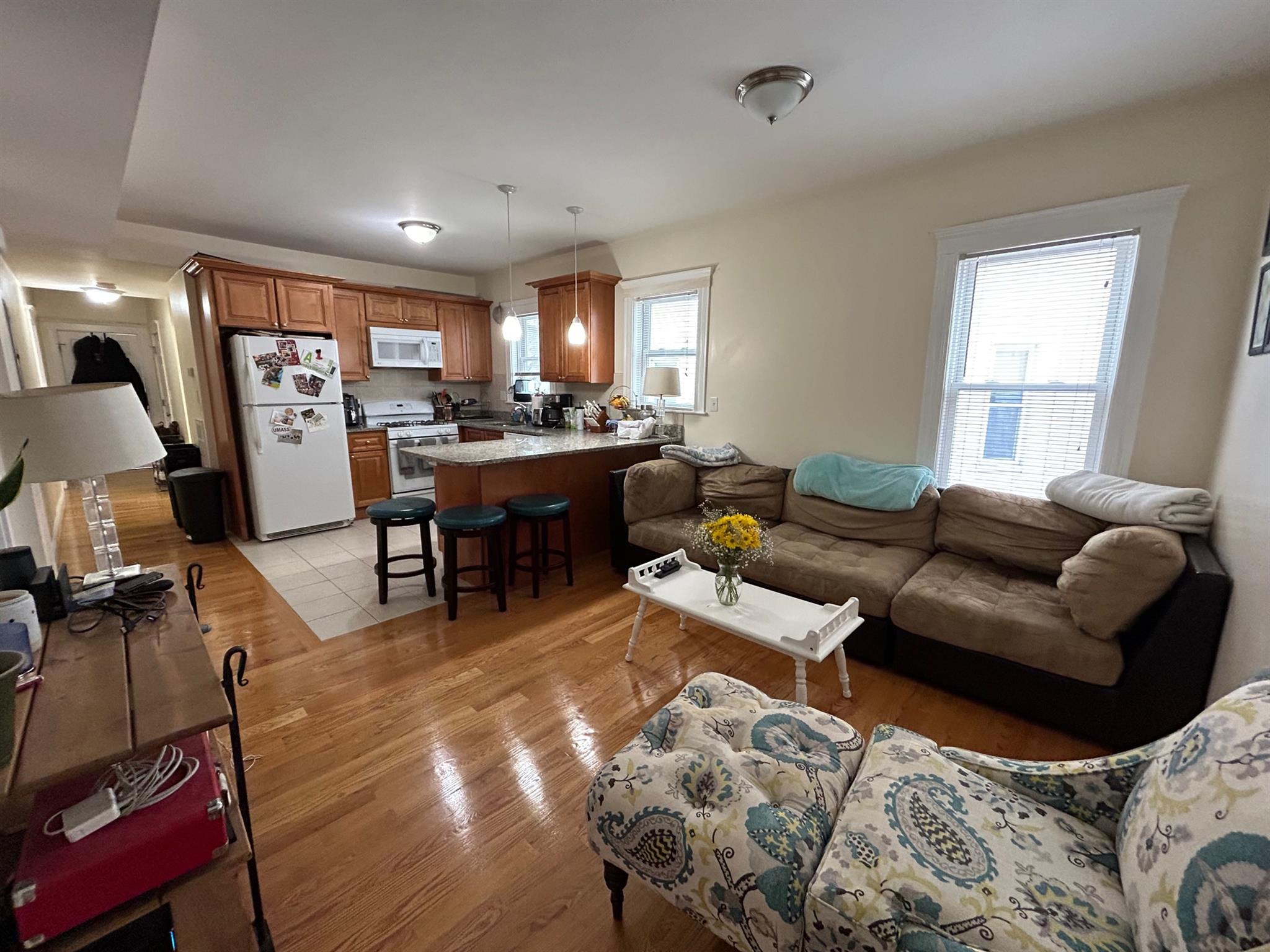 31 Belknap St, West Somerville