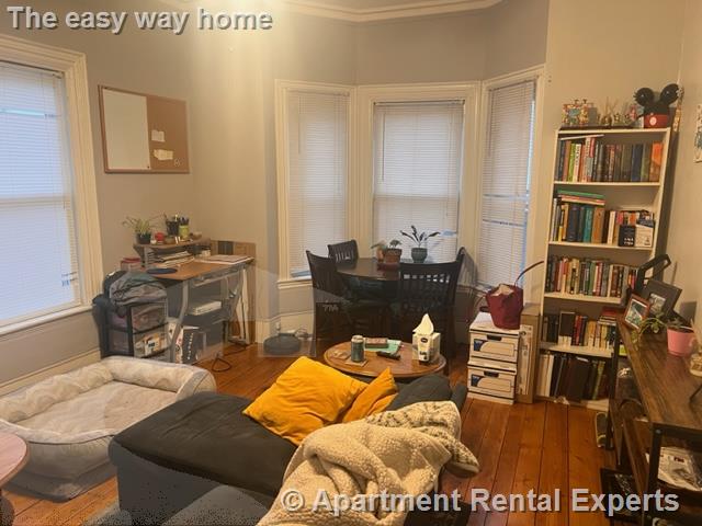 77 Bonair St, Winter Hill