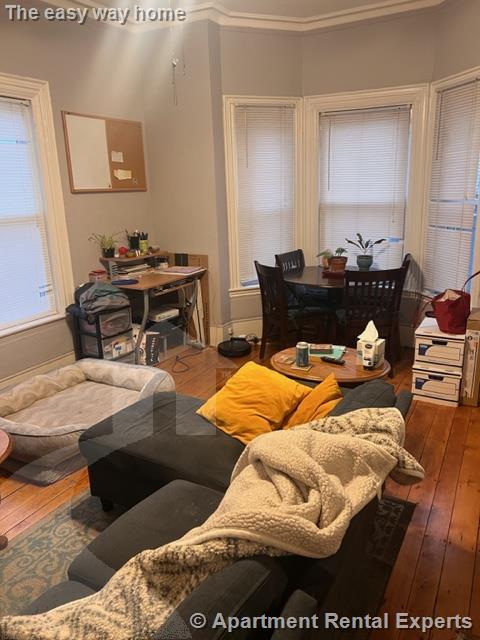 77 Bonair St, Winter Hill