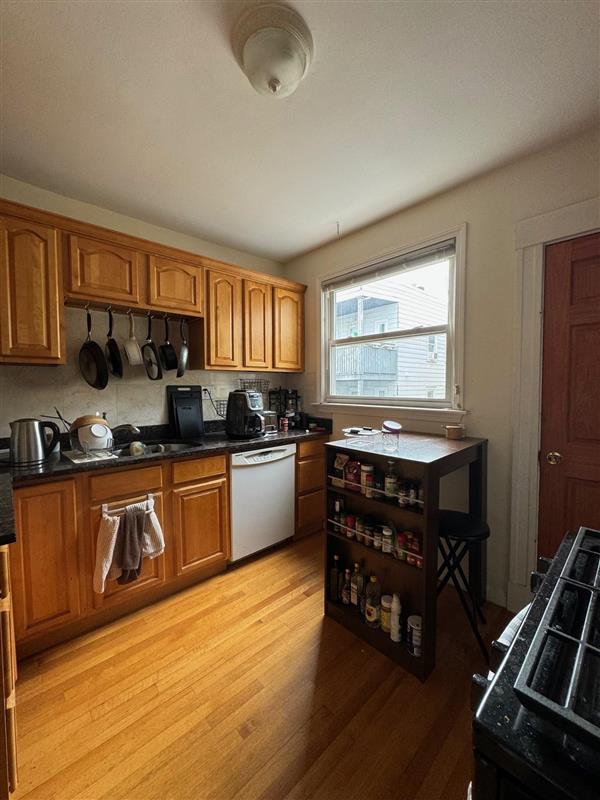 35 Magnus Ave, Ward Two