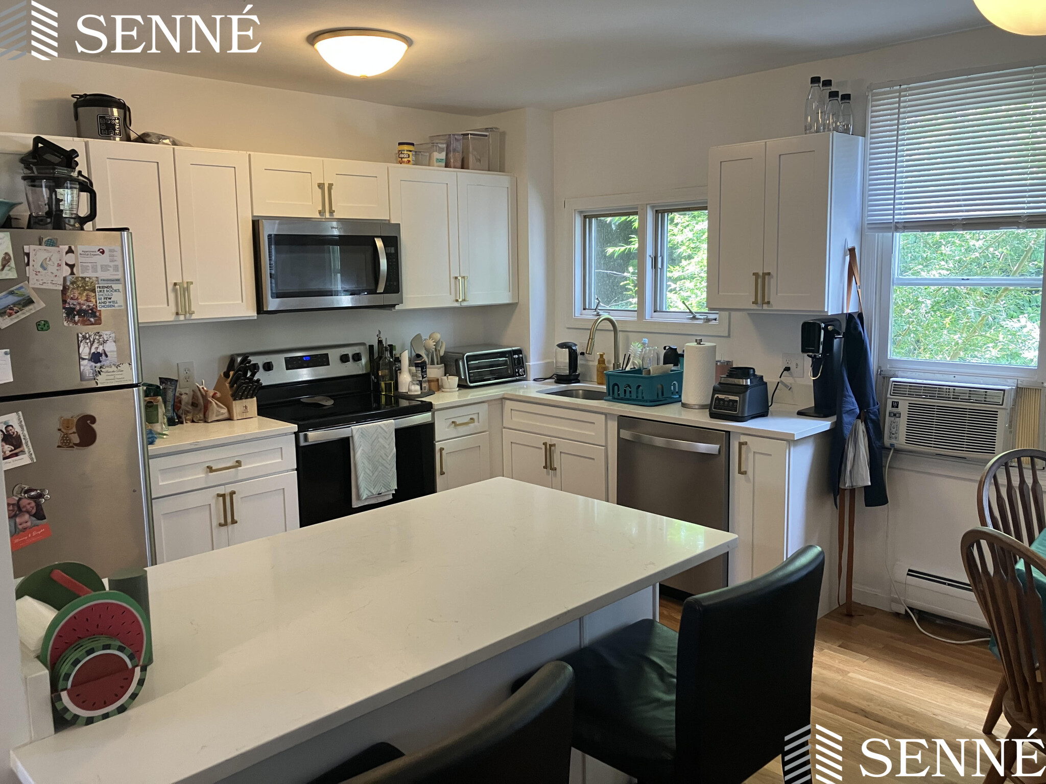 26 Thorndike St, Davis Square