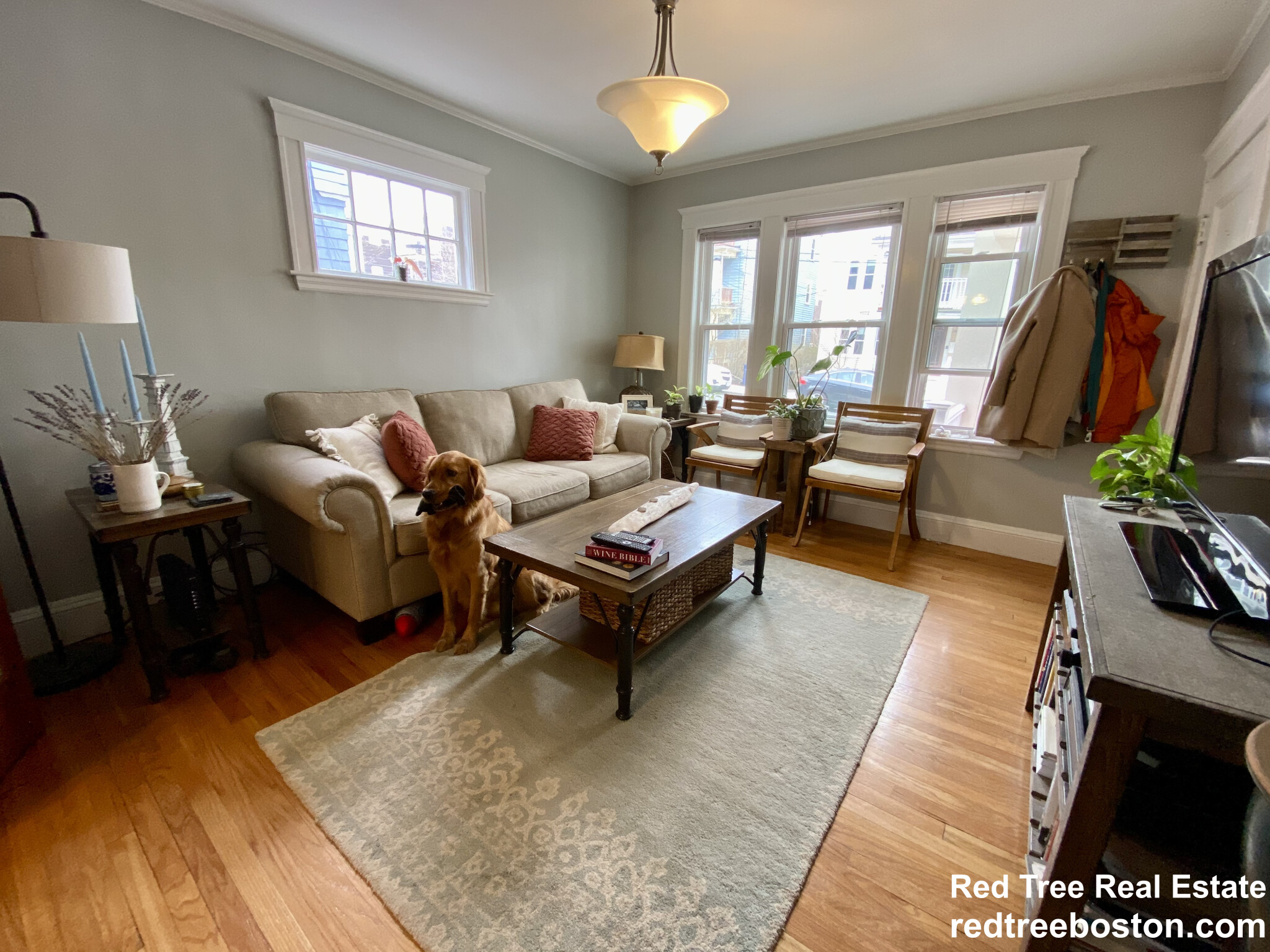25 Saint Peter St, Jamaica Plain