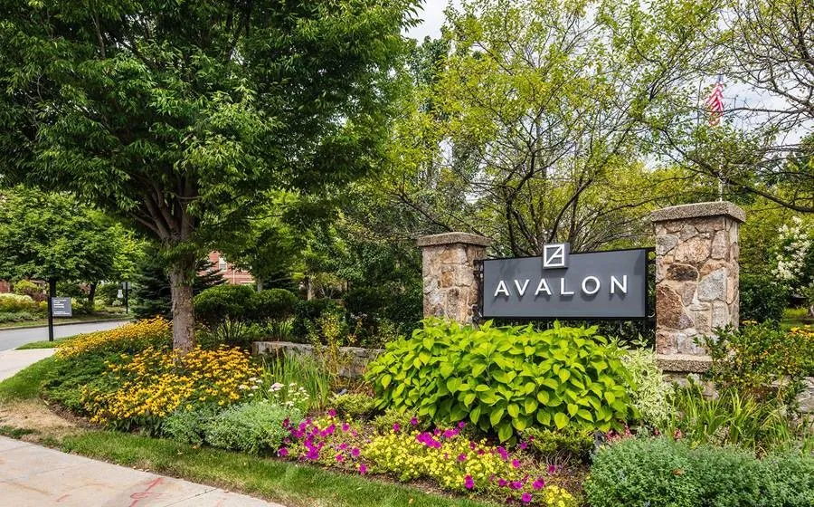 99 Needham St, Newton Highlands