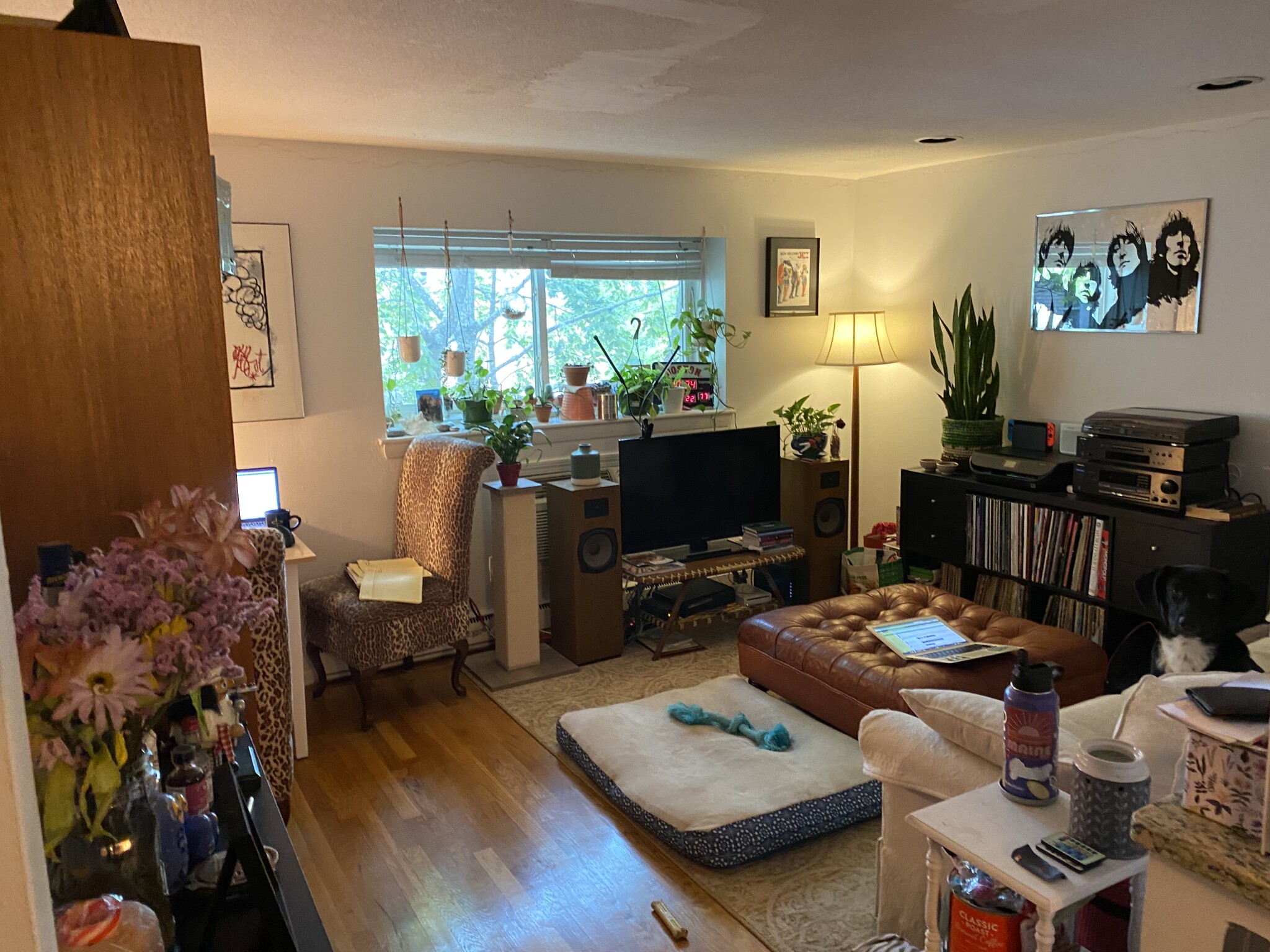 15 Euston Rd, Brighton