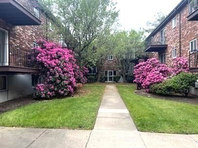 21 Westgate Rd, West Roxbury