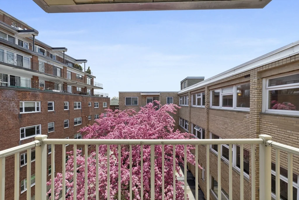 123 Sewall Ave, Coolidge Corner