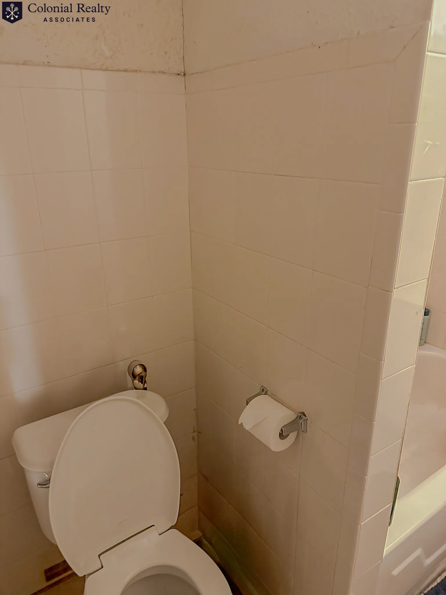 74 Egmont St, North Brookline