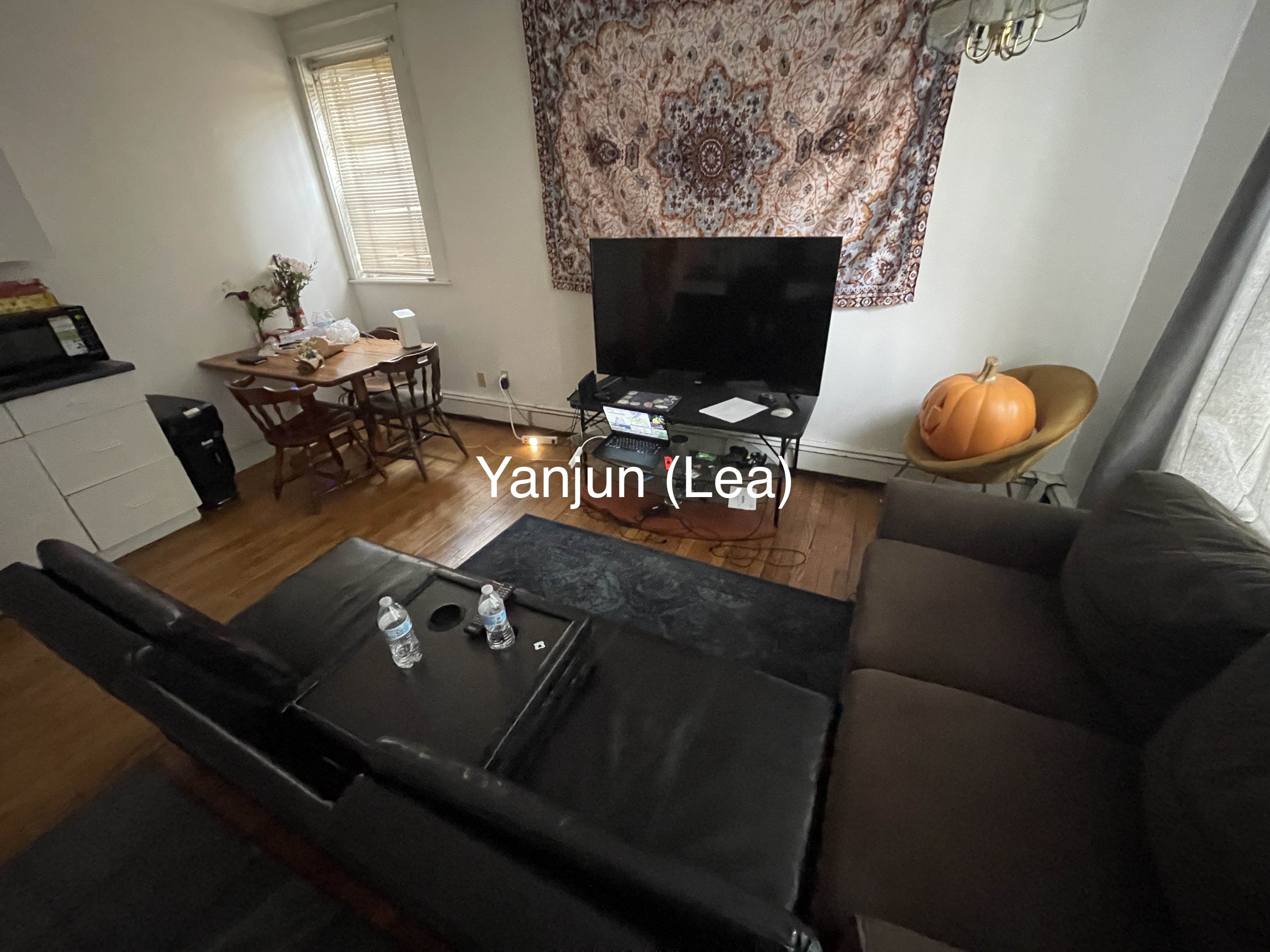 15 Scottfield Rd, Brighton