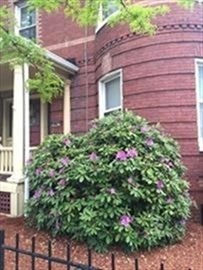 1253 Massachusetts Ave, Arlington Heights