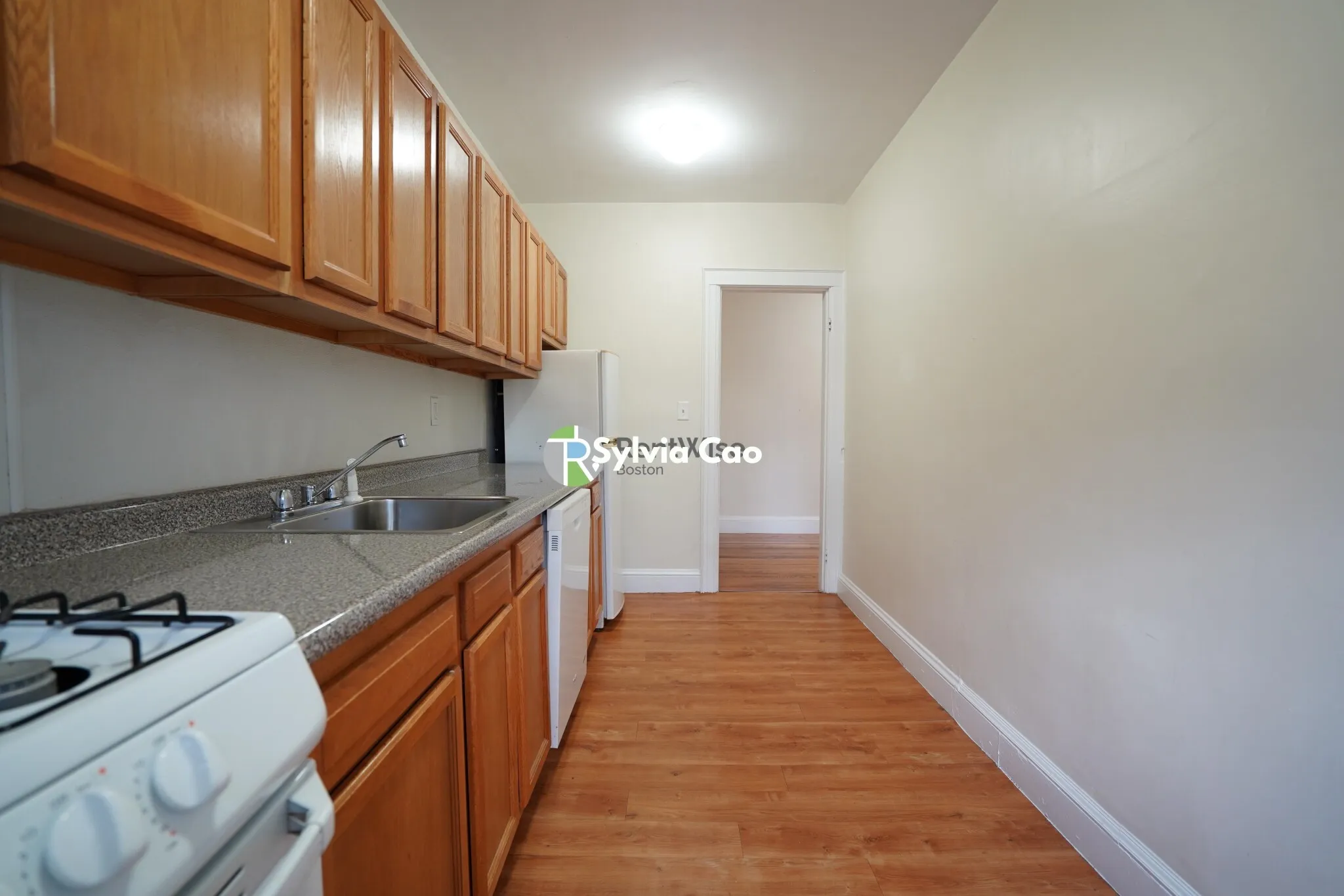 2045 Commonwealth Ave, Brighton