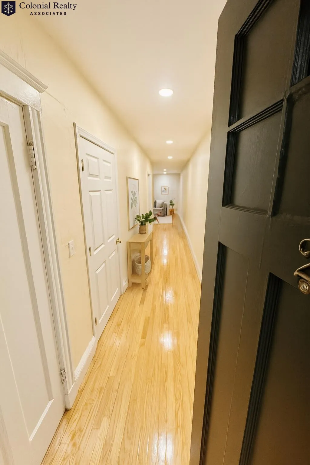 56 Egmont St, North Brookline