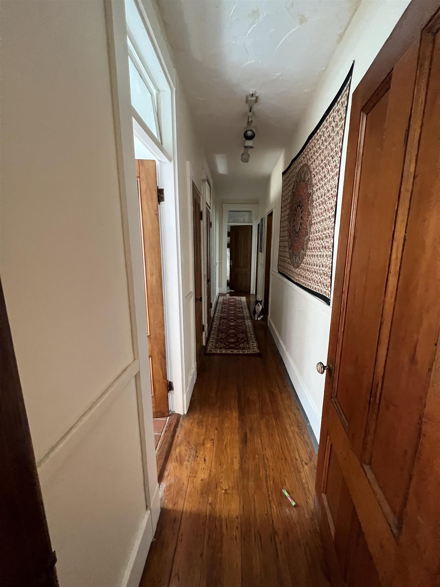3 bed, 1 bath apartment for rent at 507 Green St Unit 2A, Central Square — photo 3 of 5