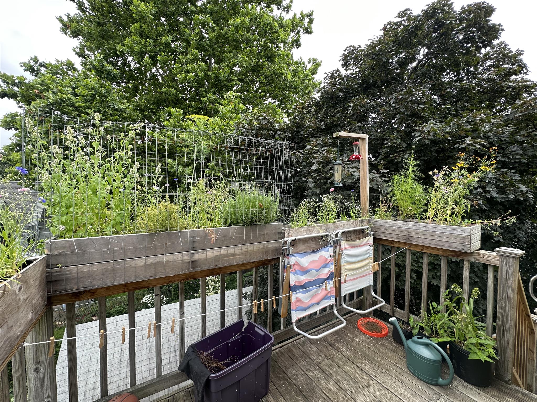 1 bed, 1 bath apartment for rent at 74 Prentiss St Unit 3, Watertown — photo 3 of 12