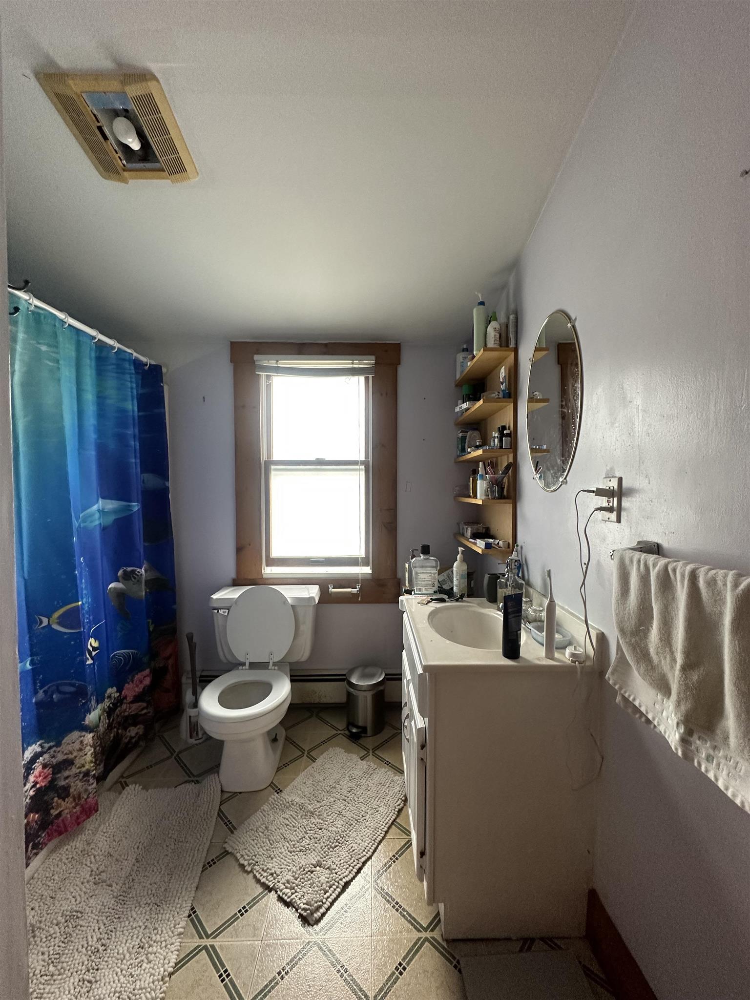 1 bed, 1 bath apartment for rent at 74 Prentiss St Unit 3, Watertown — photo 6 of 12