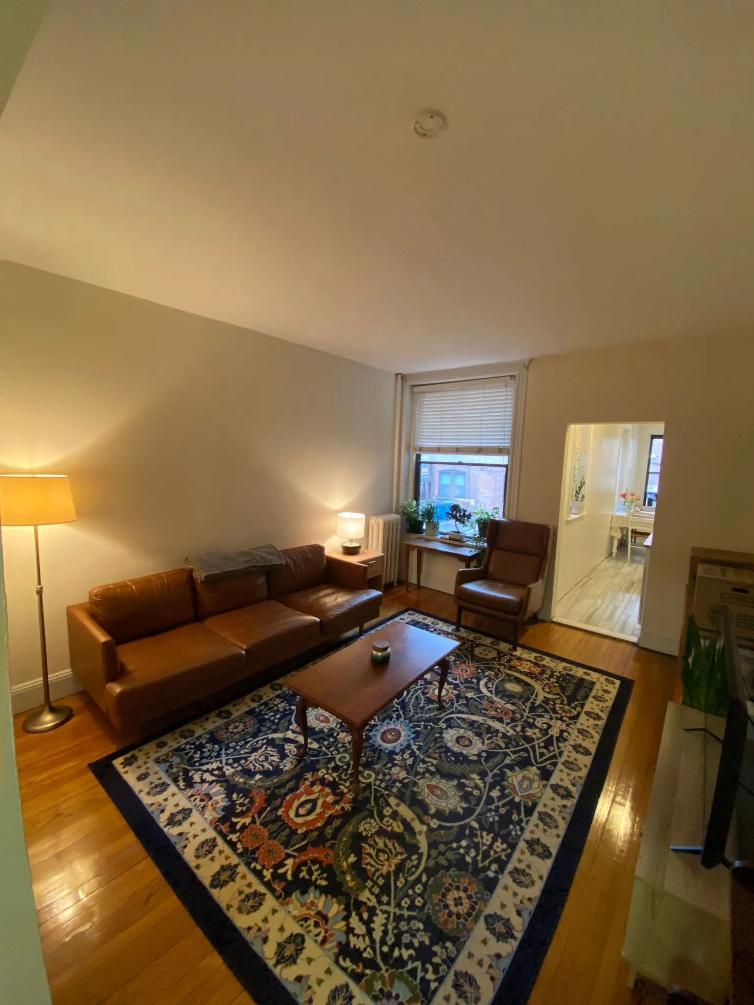 46 Orkney Rd, Brighton