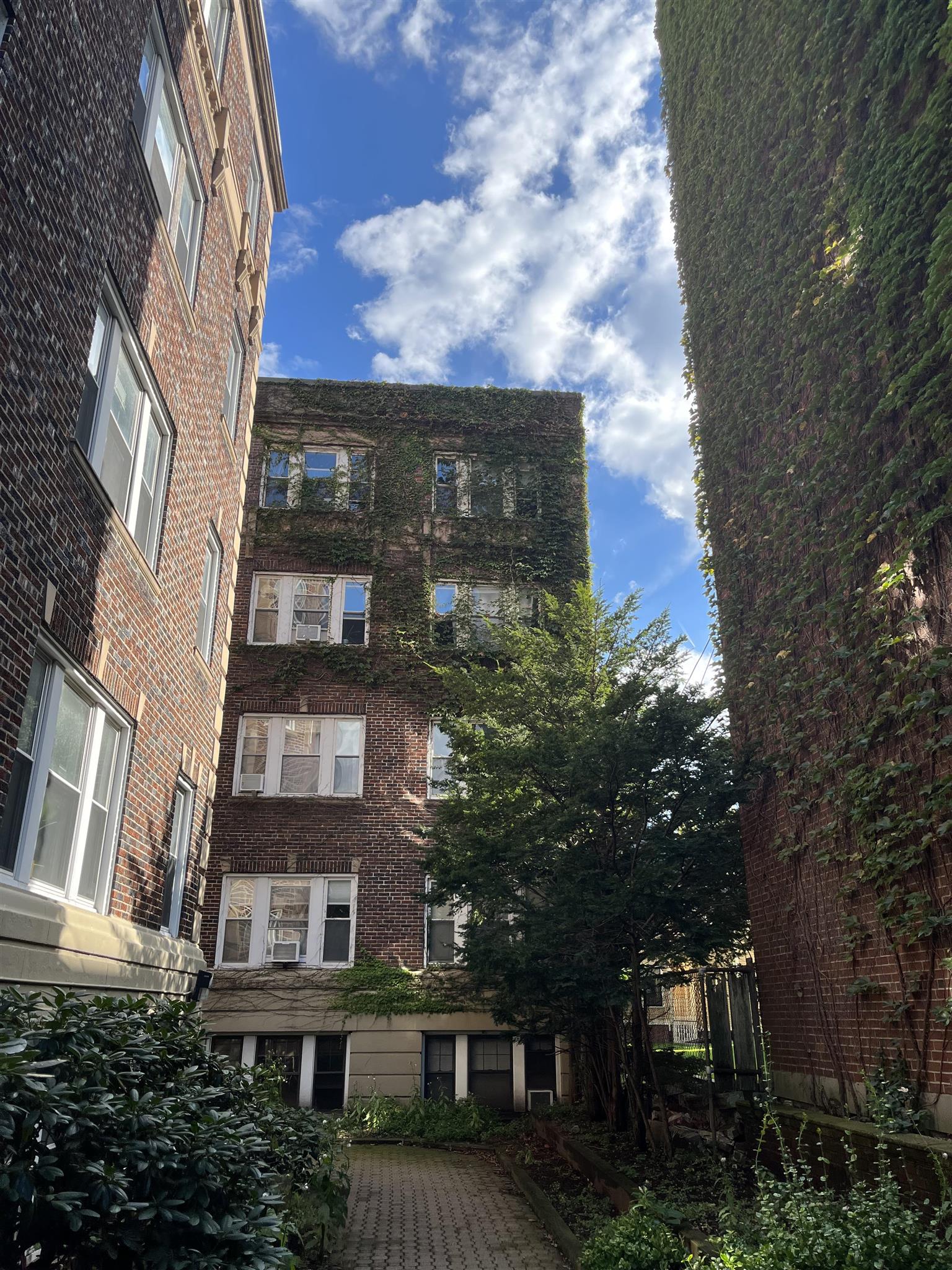 1 bed, 1 bath apartment for rent at 12 Wendell St Unit 12, Harvard Square — photo 10 of 10