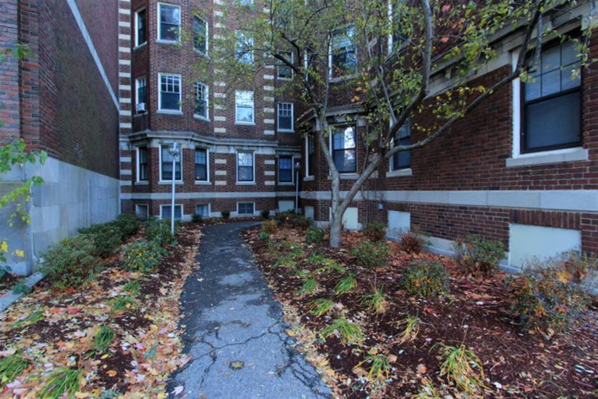 2 bed, 1 bath apartment for rent at 1558 Massachusetts Ave Unit 35, Harvard Square — photo 17 of 20