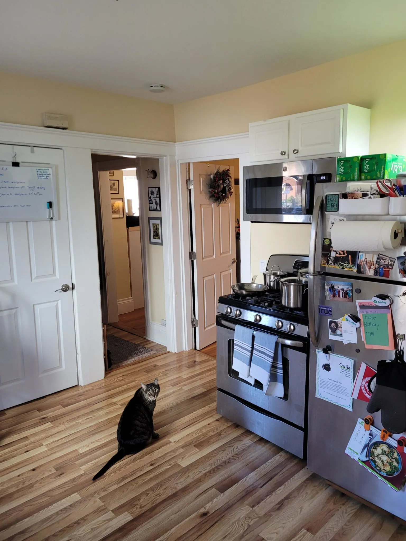 7 Craigie Ter, Spring Hill