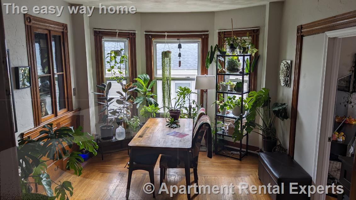 2.5 bed, 1 bath apartment for rent at 51 Mansfield St Unit 1, Union Square — photo 3 of 10