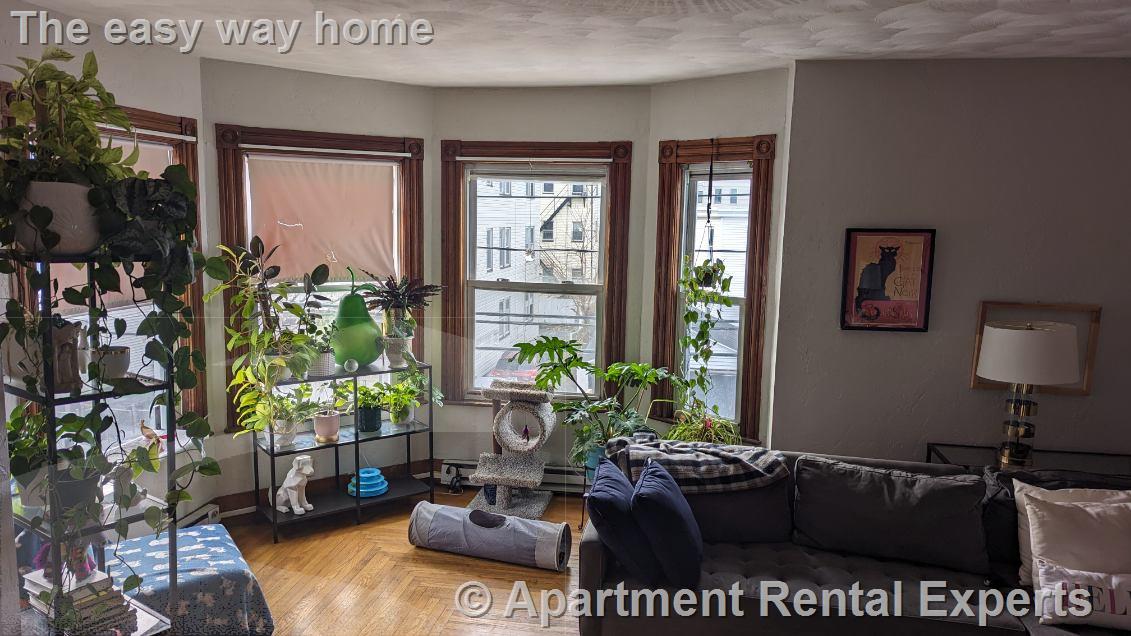 2.5 bed, 1 bath apartment for rent at 51 Mansfield St Unit 1, Union Square — photo 4 of 10