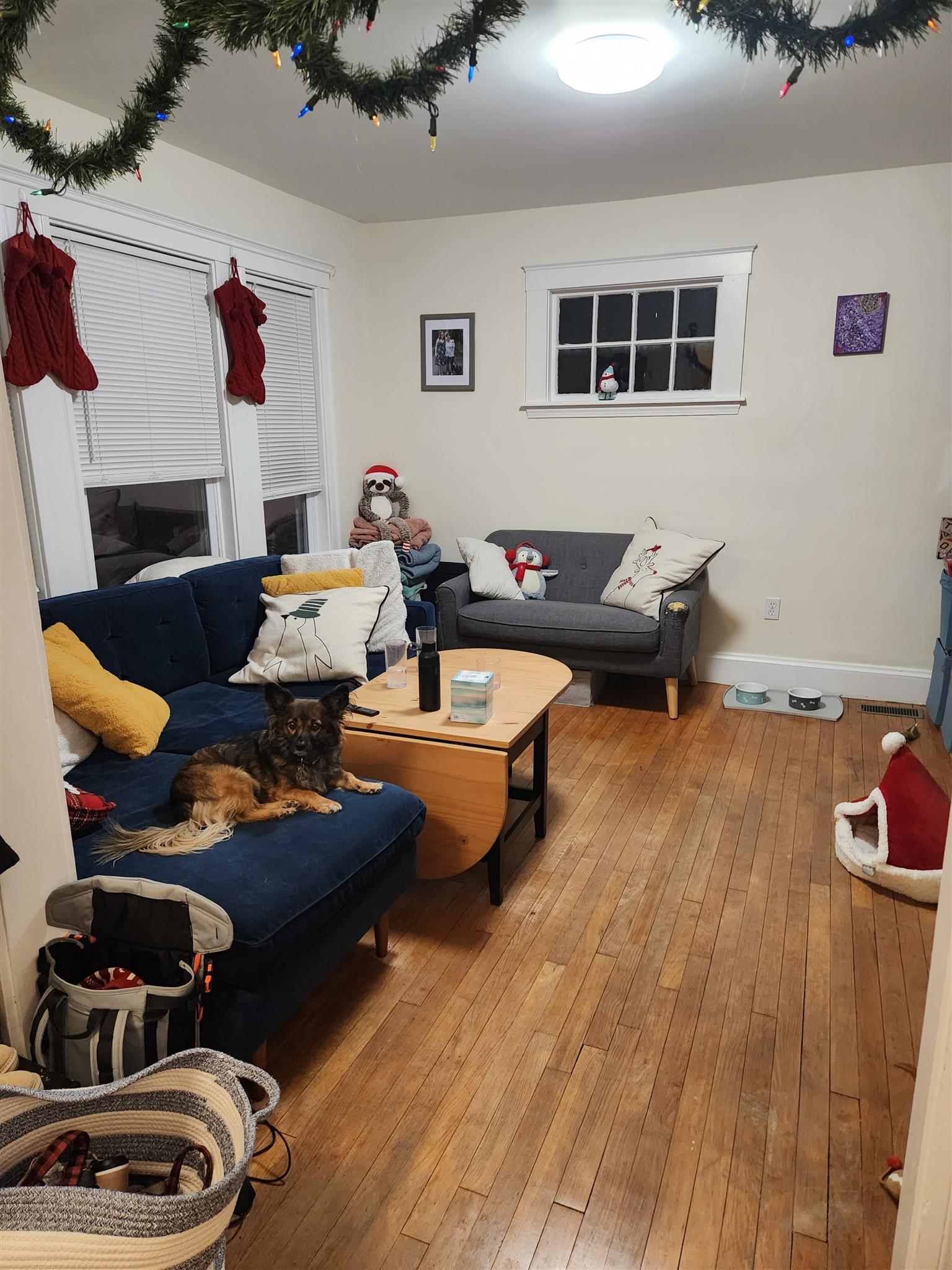 31 Corinthian Rd, Tufts