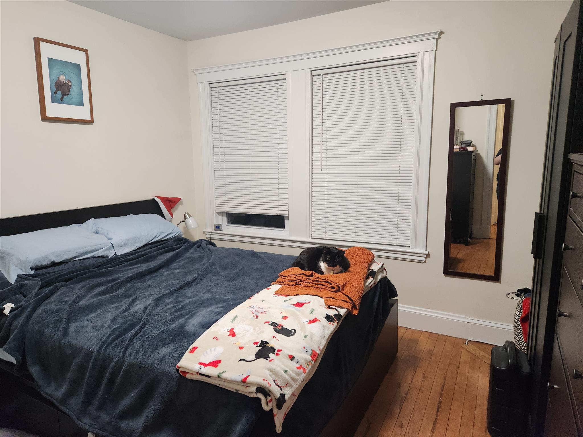 31 Corinthian Rd, Tufts