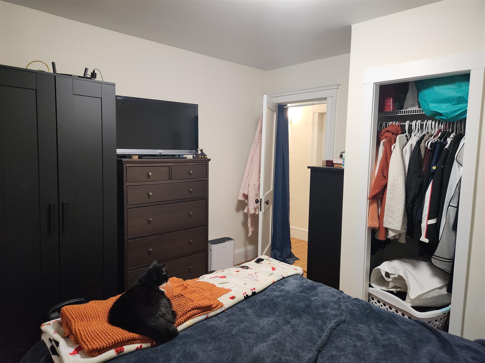 31 Corinthian Rd, Tufts