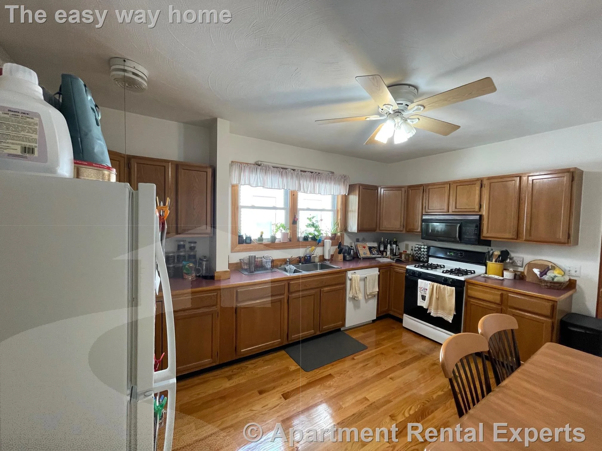 11 Ossipee Rd, Teele Square