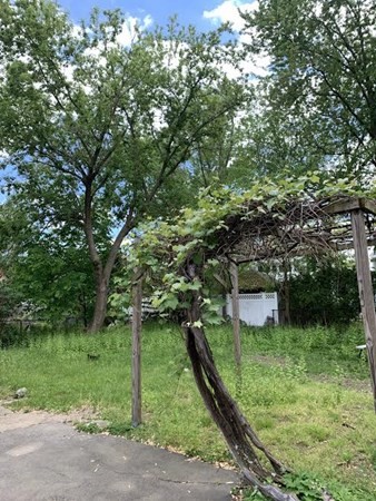 37 Grant Ave, Waverley