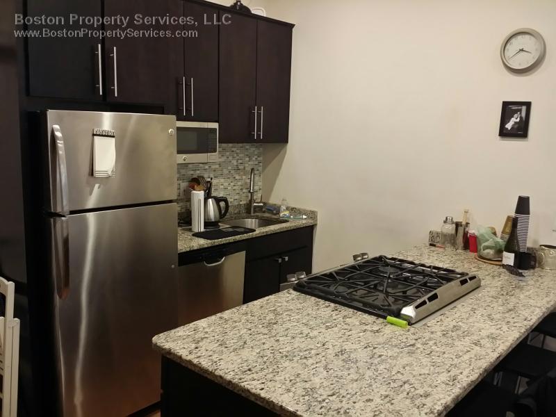 5 Wigglesworth St, Mission Hill