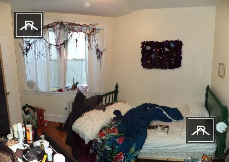 56 Egmont St, North Brookline